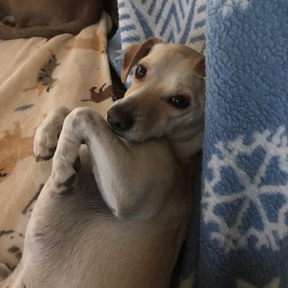 Meet your Posher, Carolyn - Picture 4 of 13